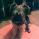 Maggy