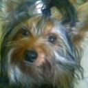 Nicky