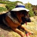 Budy
