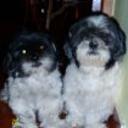 Pepito y clavito