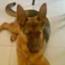 Neron