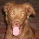 Canelita