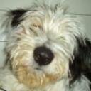 Jenny