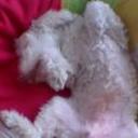 Nicky