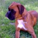 Kora de atopesiempre