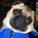 Lola