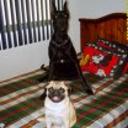 Lola