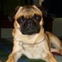 Lola