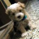 Sammy
