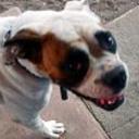 Molly