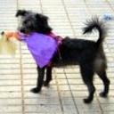 Betty