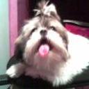 Lola
