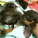 Lola y luna