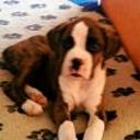 Roky