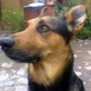 Neron