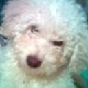 Tomy