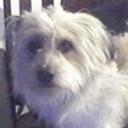 Roco
