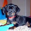 Chiki