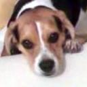 Fiona