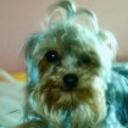 Shirka