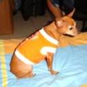 Canela