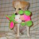 Rony