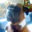 Tyson