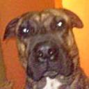 Miclo