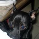 Blaky