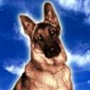Brako
