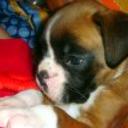 Tila