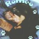 Romeo