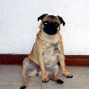 Lola