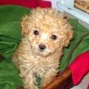 Britney de la esthercita garzon (arg)