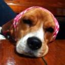 Lola