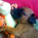 Taty