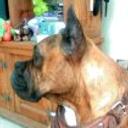 Rocko
