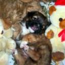 Tobby