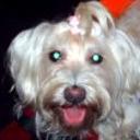 Coky