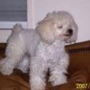 Snoopy