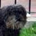 Towy