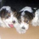 Nina y sus hermanos