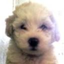 Susy