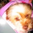 Ulises