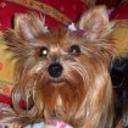 Tania