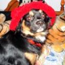 Boby