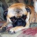 Lola