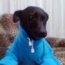 Negrito