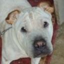 Tobby