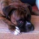Homero